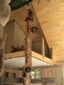 Bears on Tree